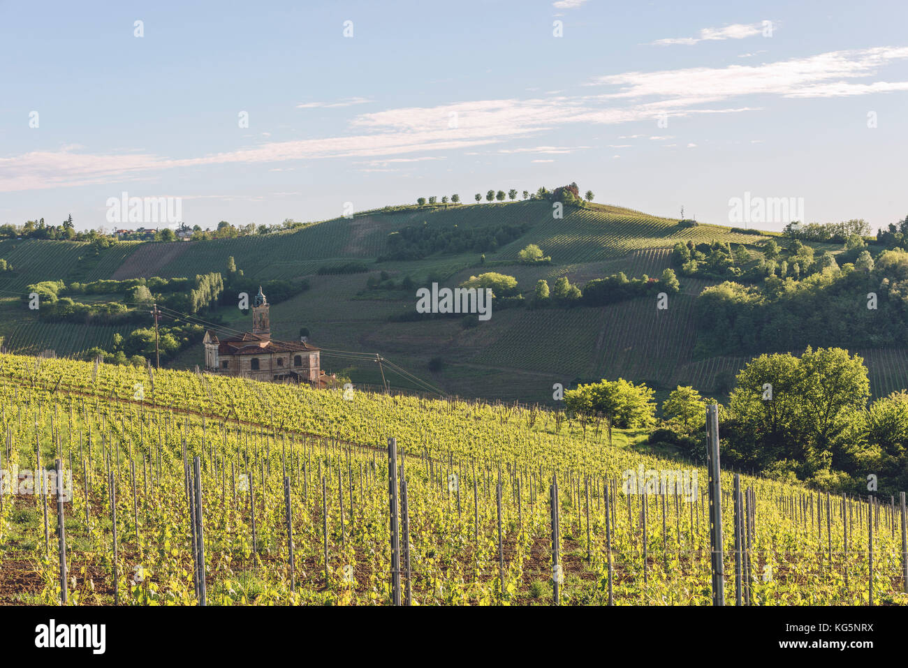 Oltrepo Pavese, Province of Pavia, Lombardy, Italy. Stock Photo