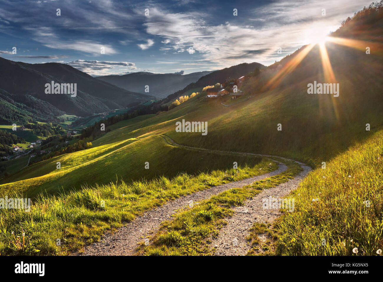 Farmer's track, Coll, Santa Magdalena, Bolzano province, Funes valley, South Tyrol region, Trentino Alto Adige, Italy, Europe Stock Photo