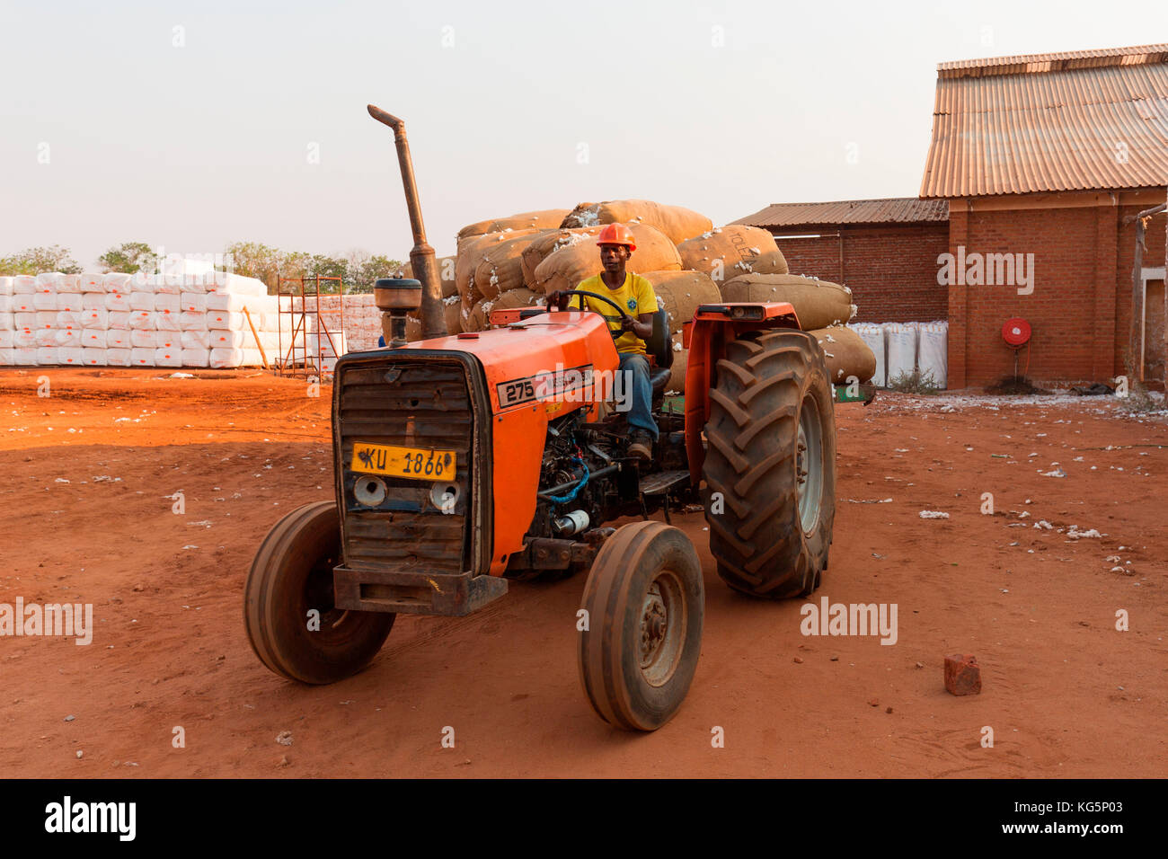 Africa, Malawi, Balaka district. Cotton processing Stock Photo