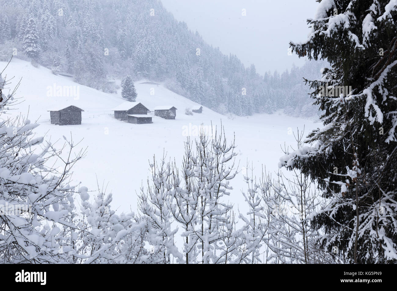 Huts during a heavy snowfall. Versam, Safiental, Surselva, Graubunden, Switzerland, Europe Stock Photo