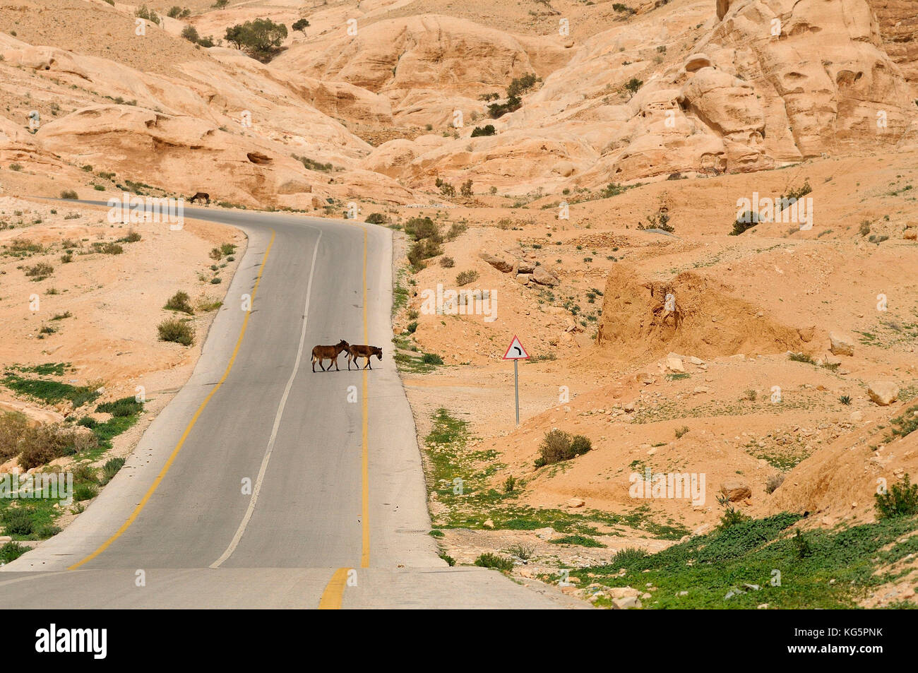 Petra, Ma'an, Jordan, Middle East Stock Photo