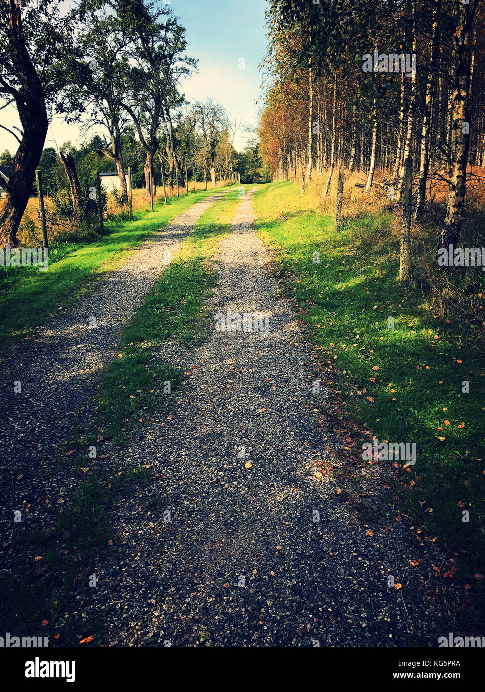 Rural street in Skåne, Sweden, Stock Photo