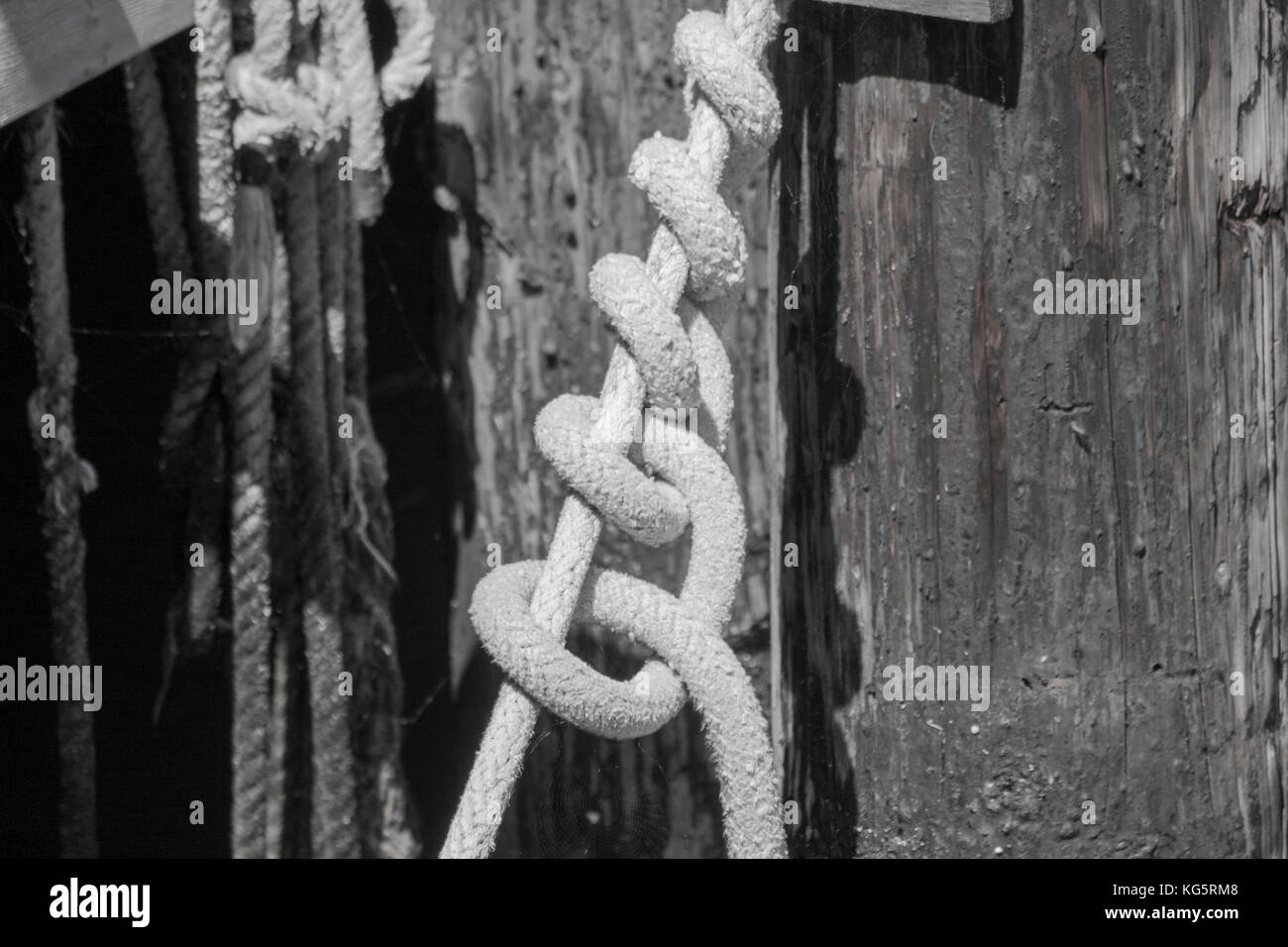 Knots in a rope found at Old Fisherman's Wharf in Monterey, California Stock Photo