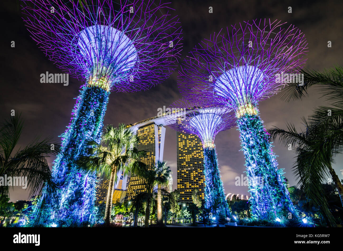 Garden by the Bay at night with Supertree Grove.The tree is a vertical