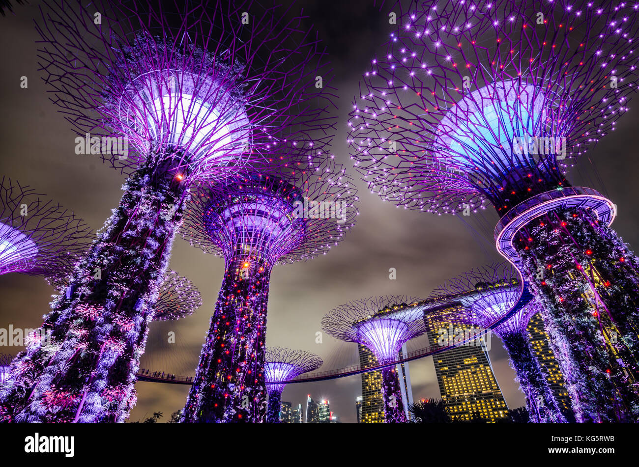 Garden by the Bay at night with Supertree Grove.The tree is a vertical