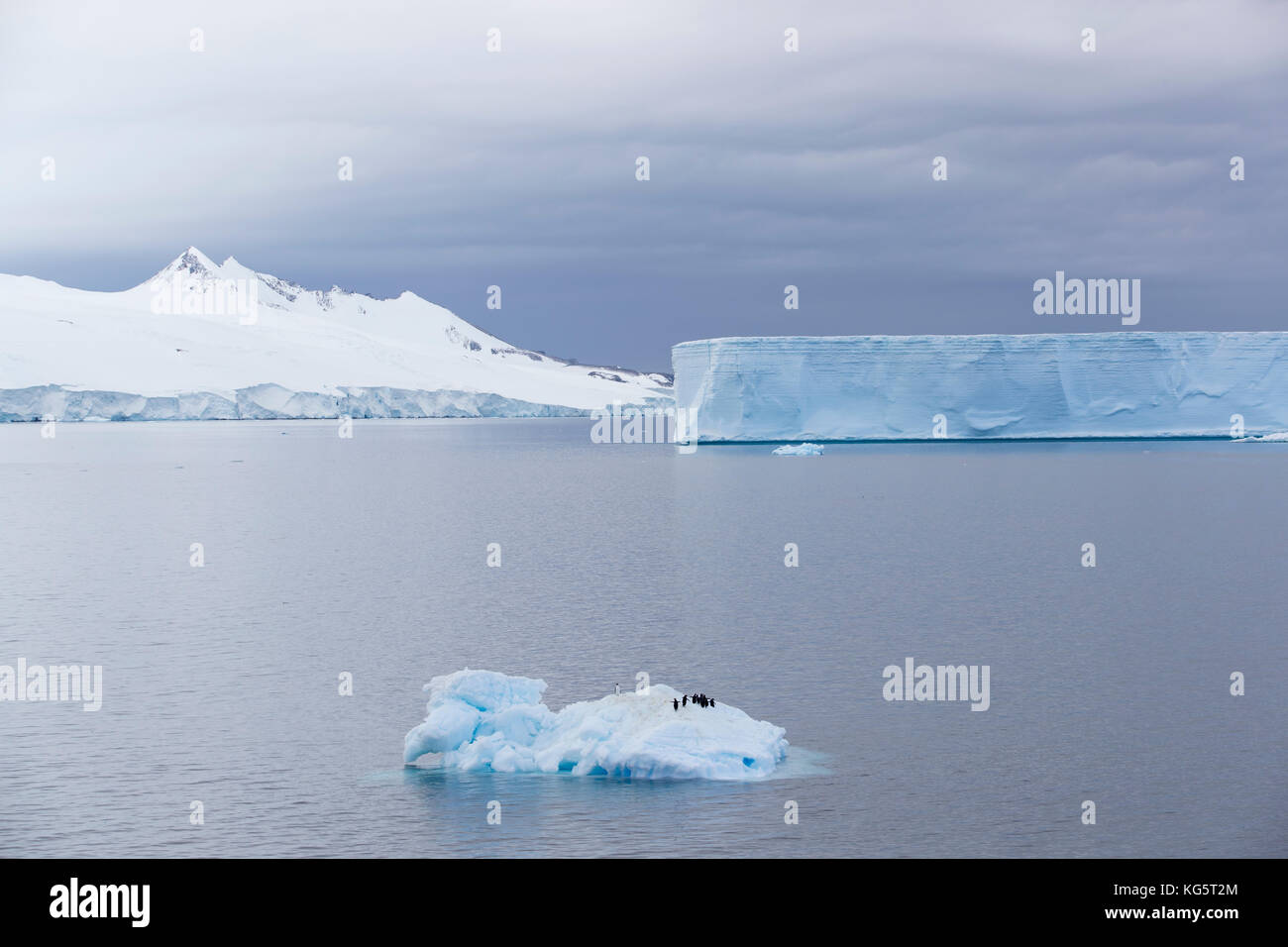 Tabular iceberg, Antarctica Stock Photo