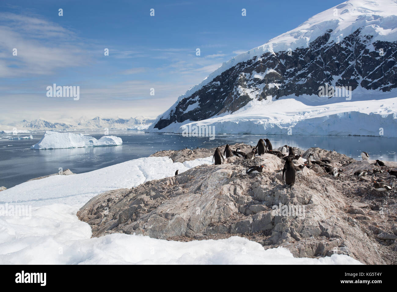Neko Harbour, Antarctic Peninsular Stock Photo 164856523 Alamy