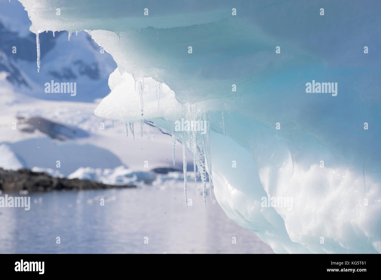 Antarctic icicles, Antarctica Stock Photo