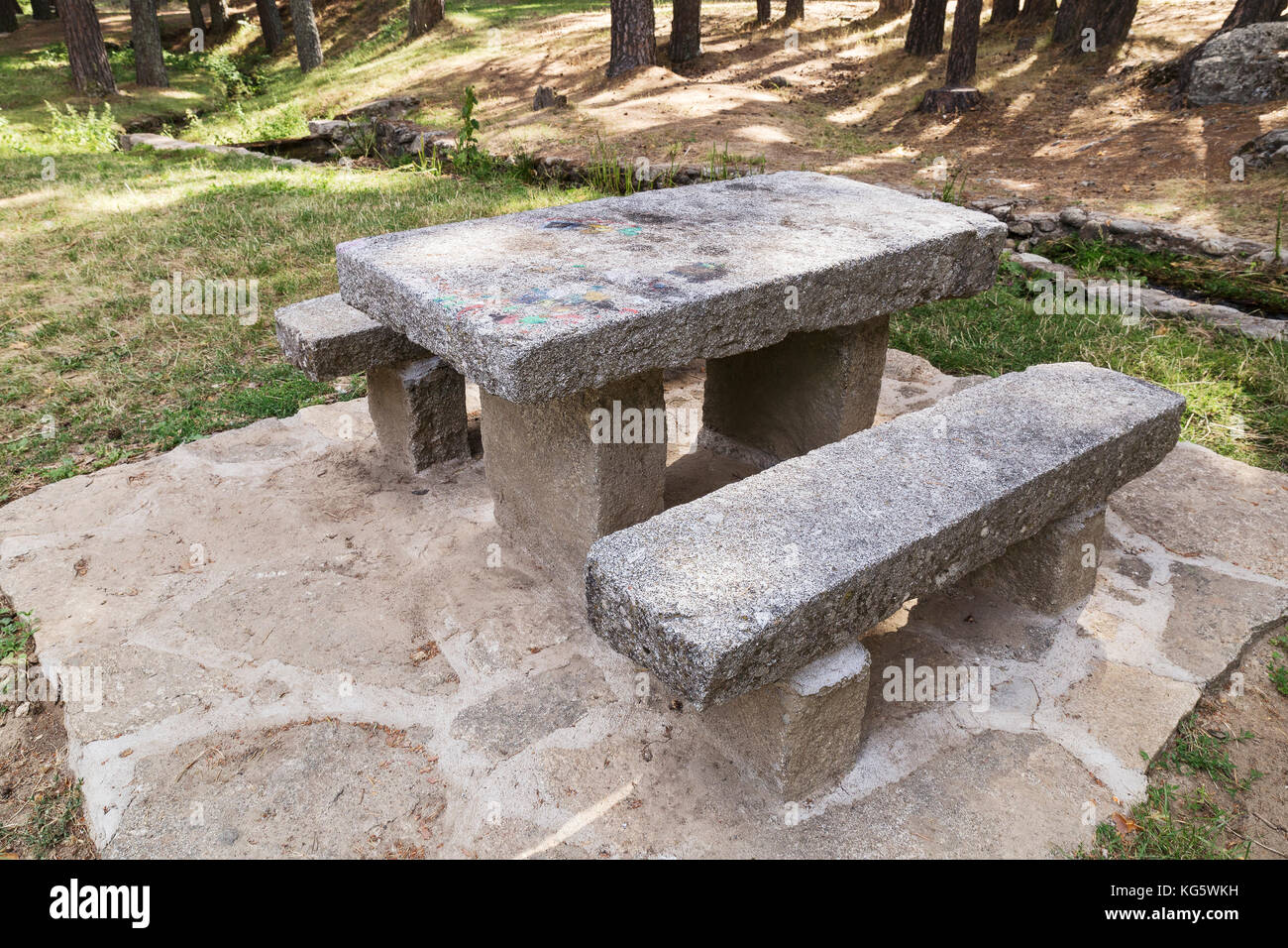 Stone Table And Benches In The Middle Of A Pine Forest Stock Photo