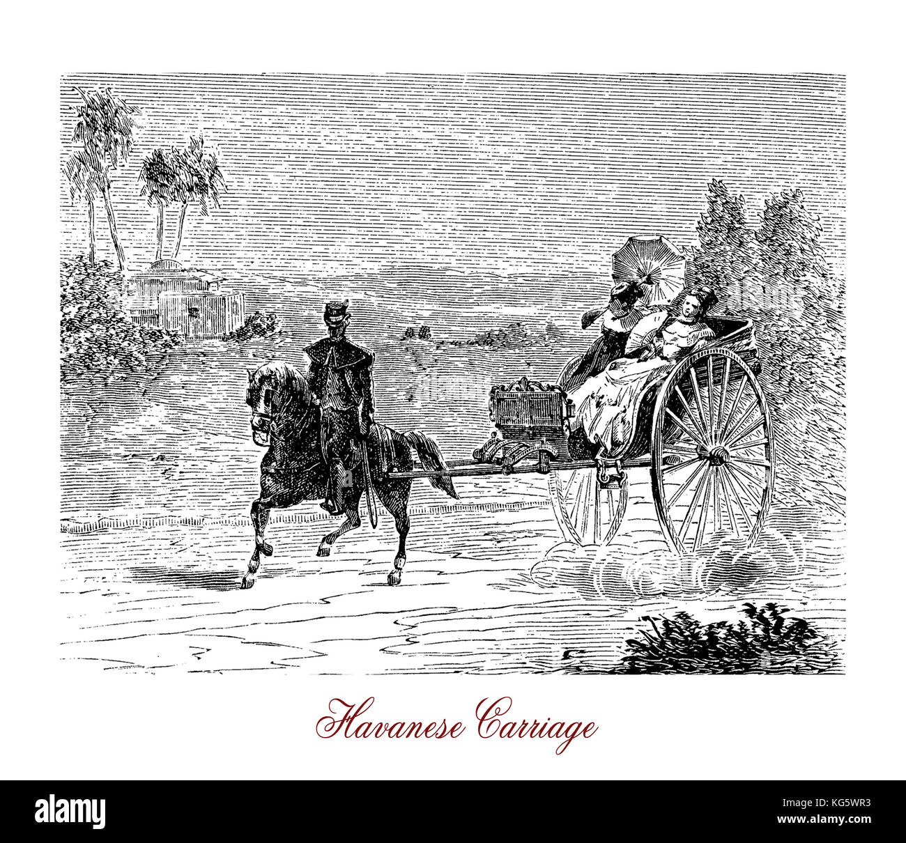 Vintage engraving of two wheels Havanese carriage trained by horse Stock Photo