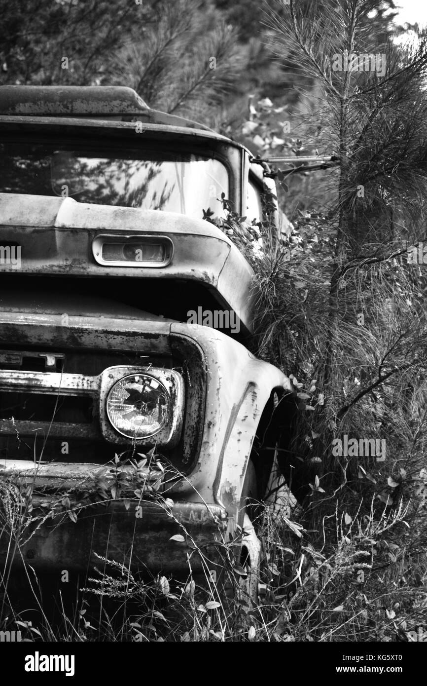 Over come by time, this abandoned vehicle watches the world pass it by. Stock Photo