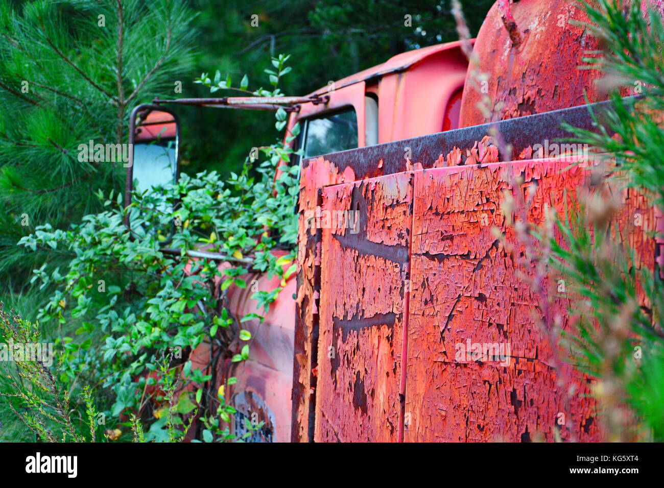 An abandoned Chevy Texaco tanker, scarred by rust and weathering. Stock Photo