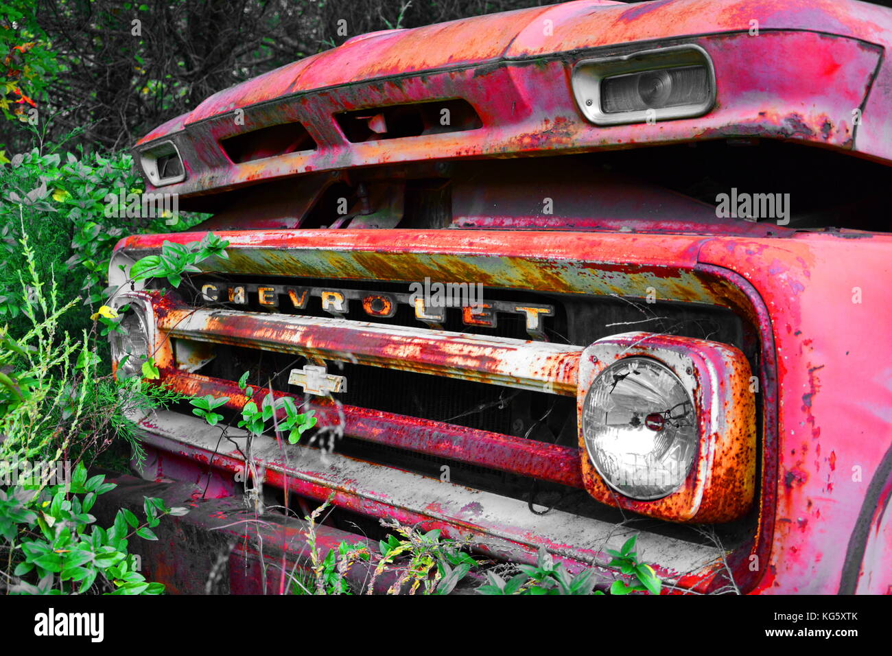 An abandoned Chevy Texaco tanker truck has it's history etched across its face. Stock Photo