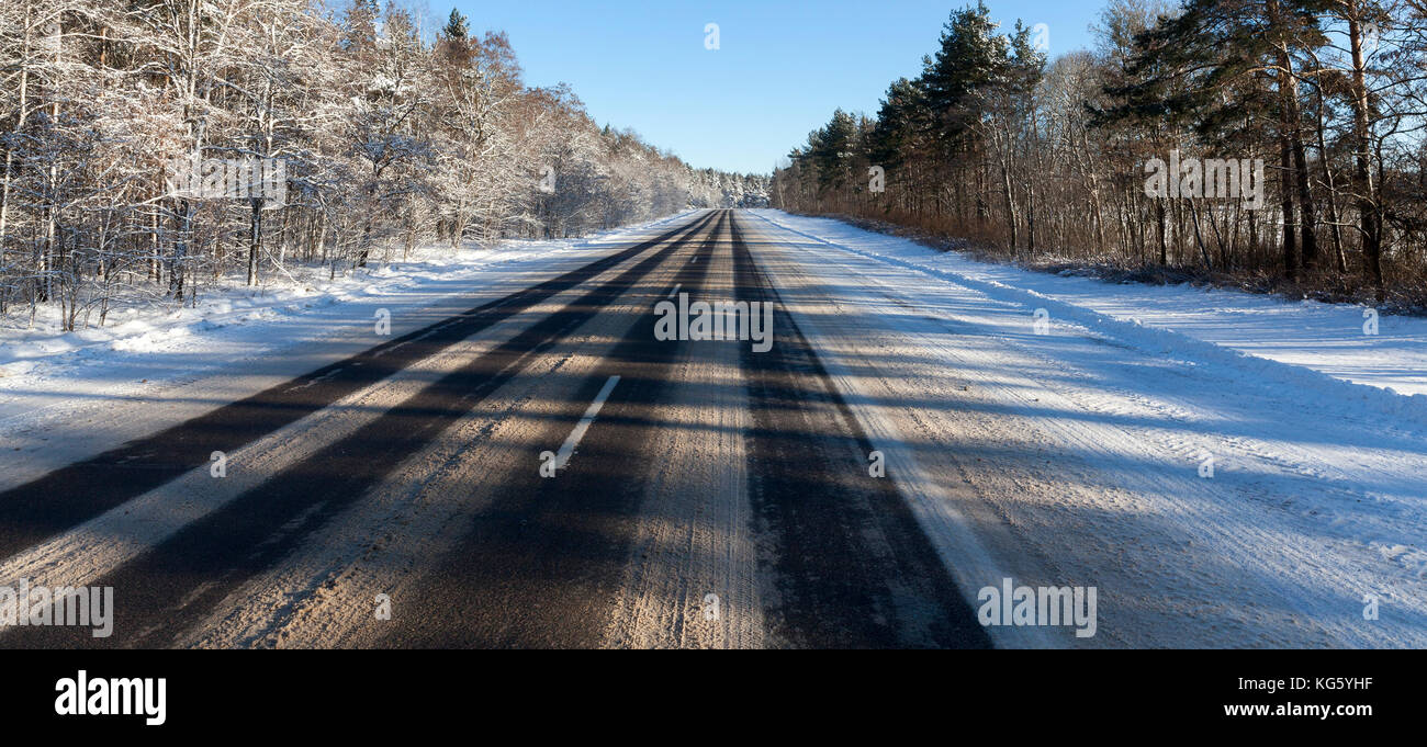 Road in winter forest Stock Photo - Alamy