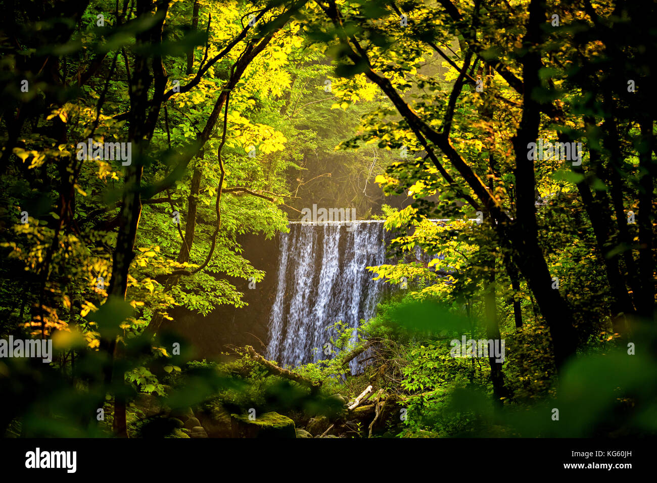 Cascading water over a spillway as the sun streams through the trees illuminating the leaves Stock Photo