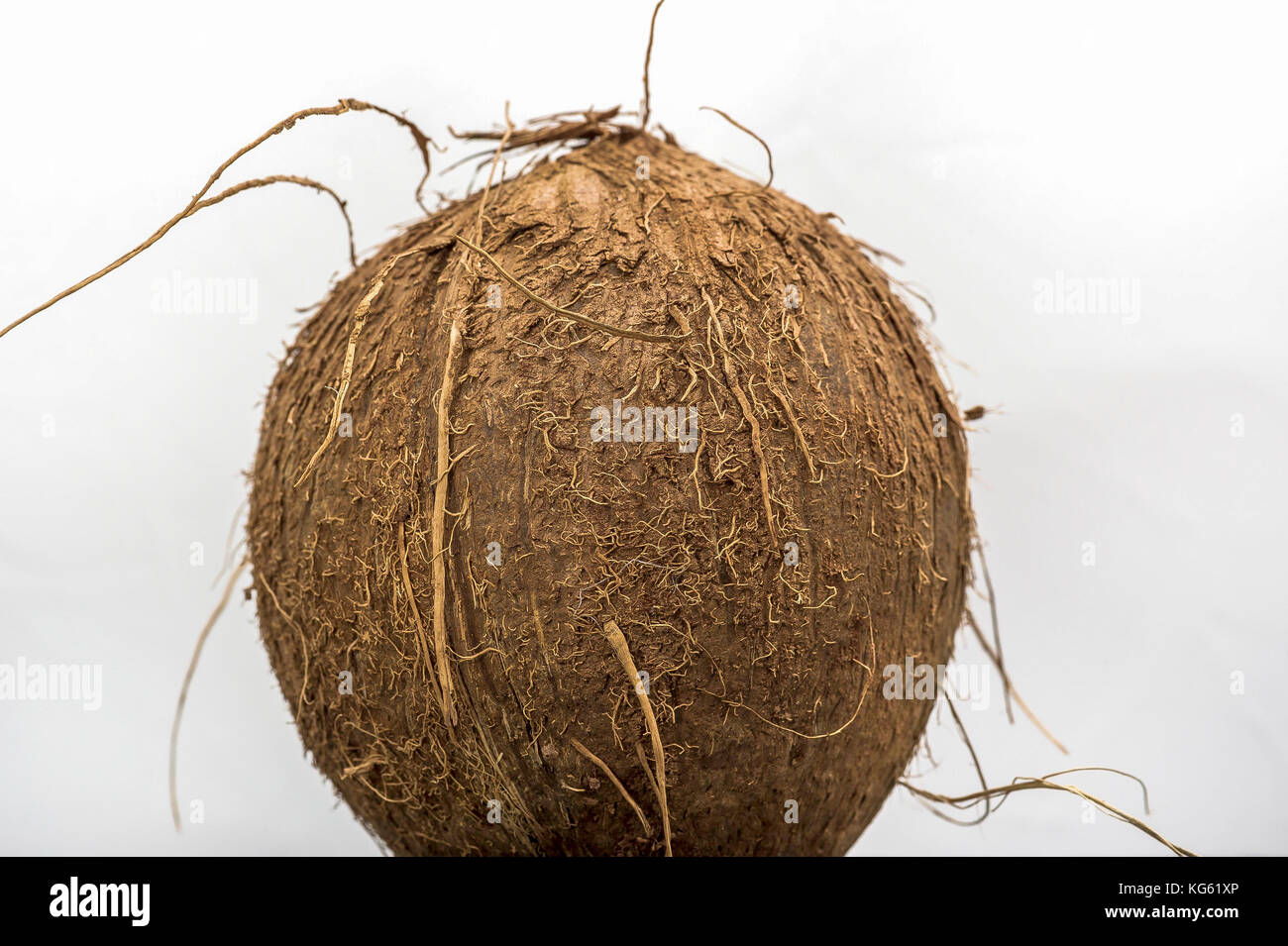 NOIX DE COCO Stock Photo Alamy