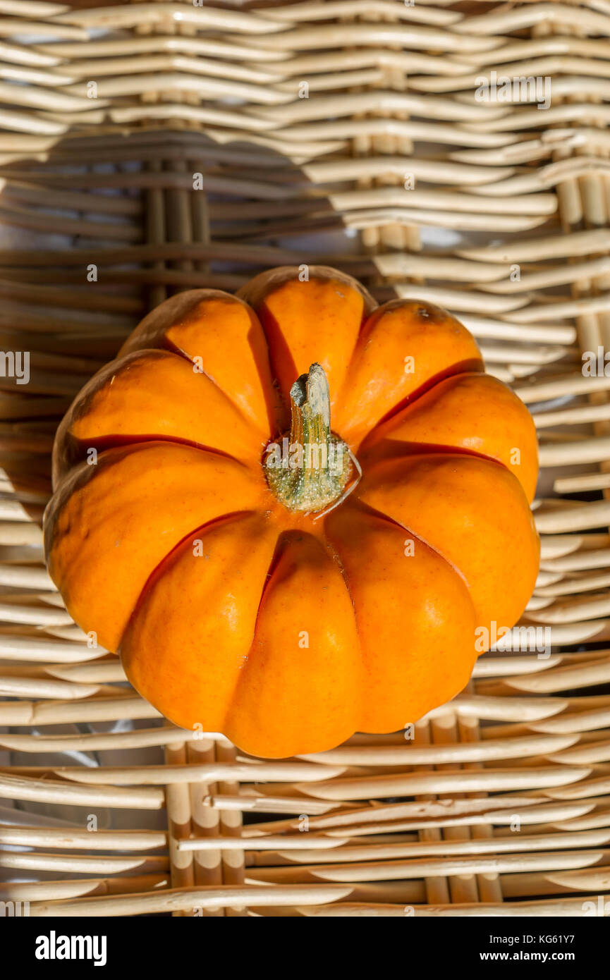 Citrouille High Resolution Stock Photography And Images Alamy