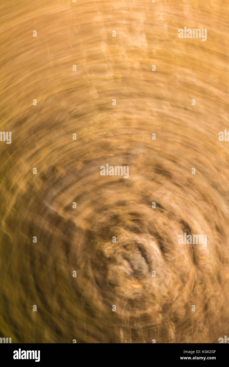 Abstract nature background of bark of tree trunk in motion blur Stock Photo