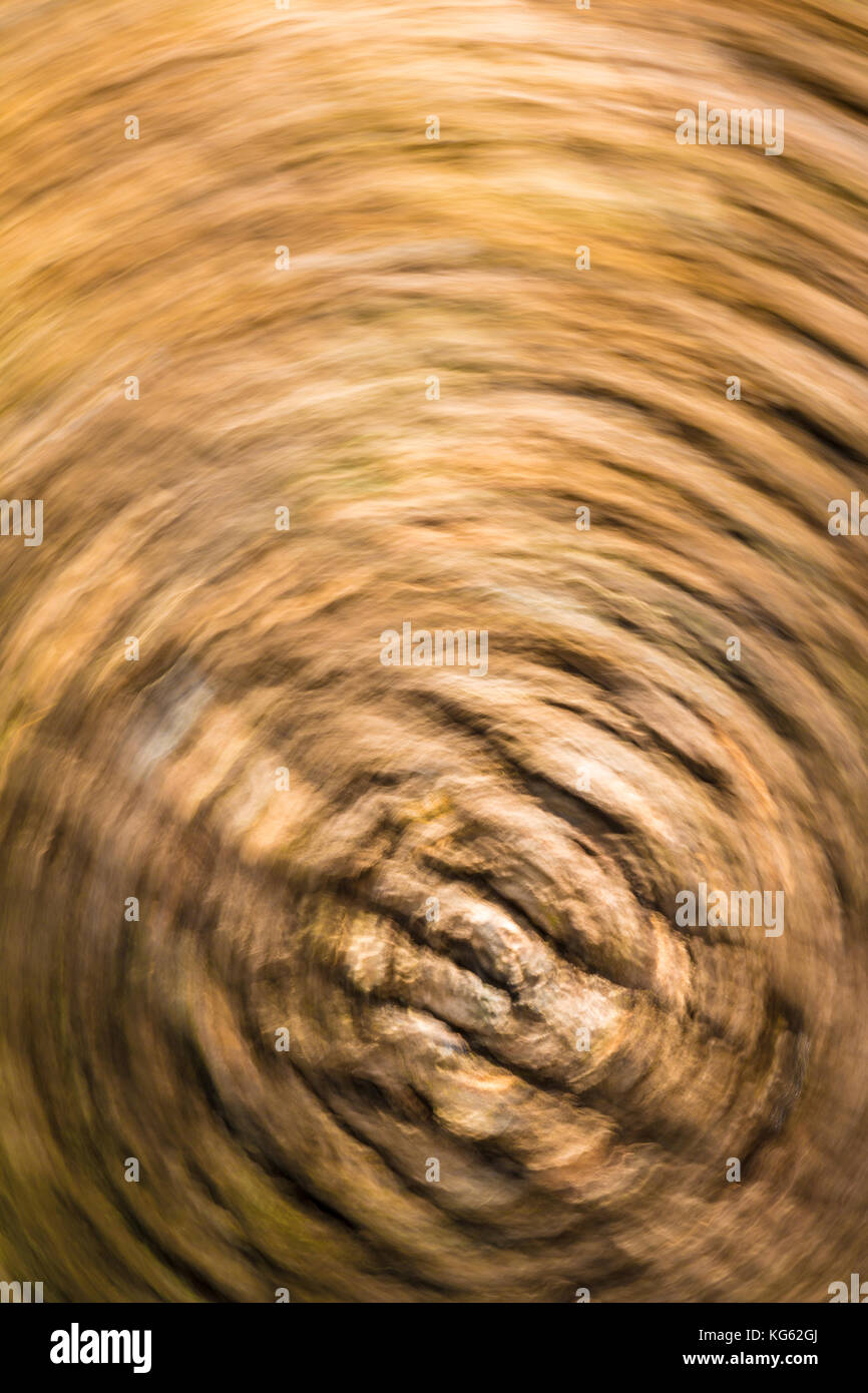 Abstract nature background of bark of tree trunk in motion blur Stock Photo