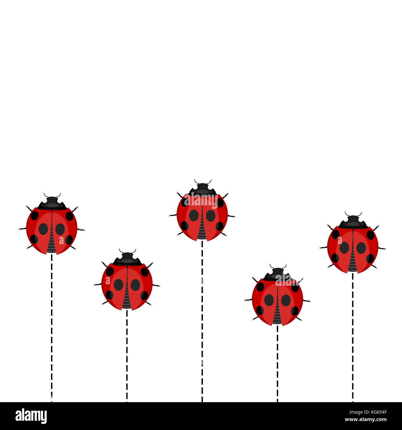 Ladybug Pattern on White Background Stock Photo