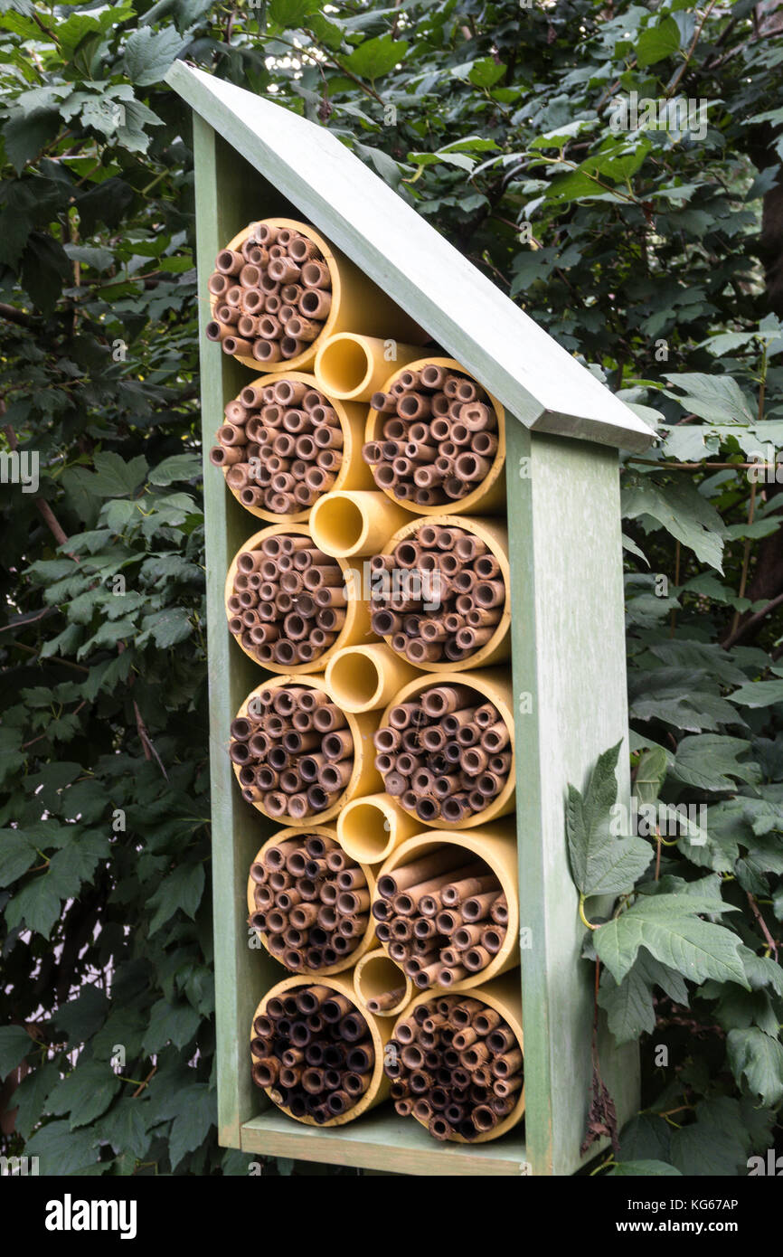 Bee Houses in Madison Square Park, NYC, USA Stock Photo