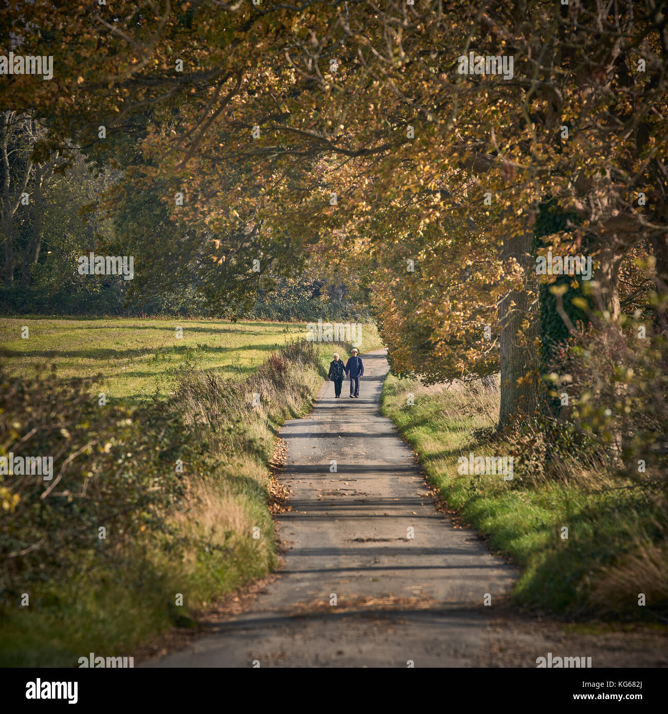 Couple walking under tree hi-res stock photography and images - Alamy