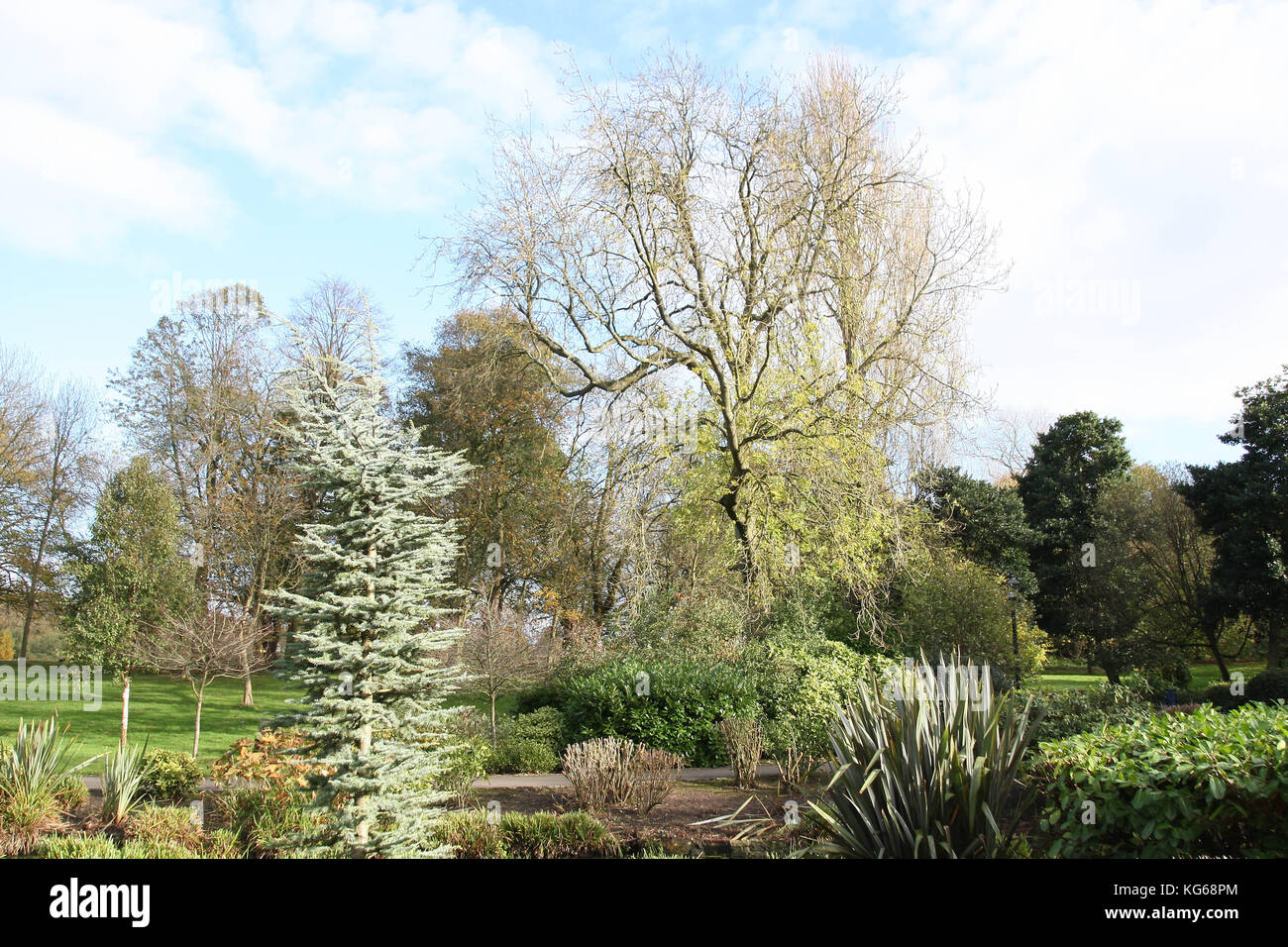 Sefton Park, Autumn time Stock Photo