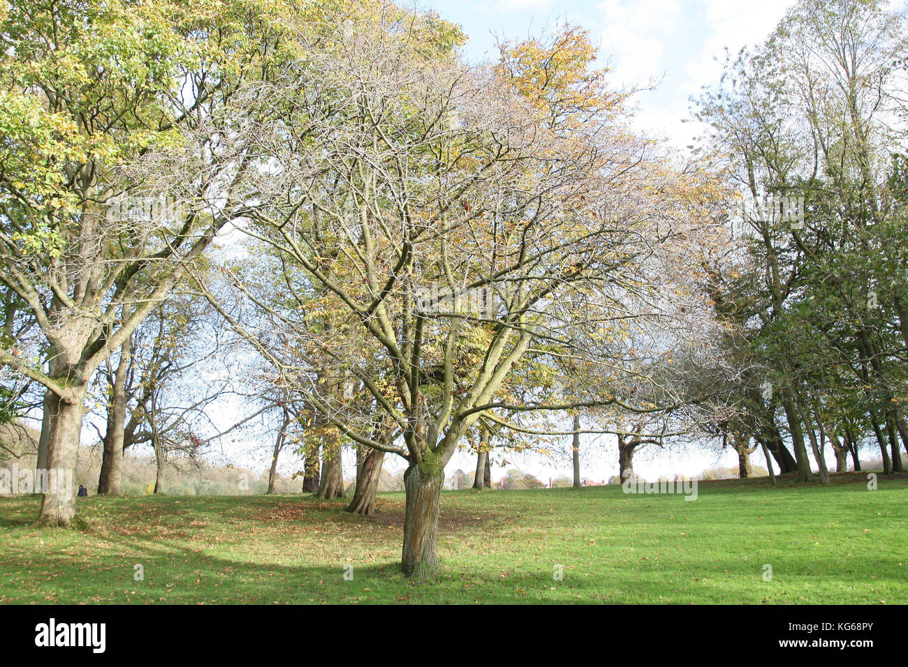 Sefton Park, Autumn time Stock Photo