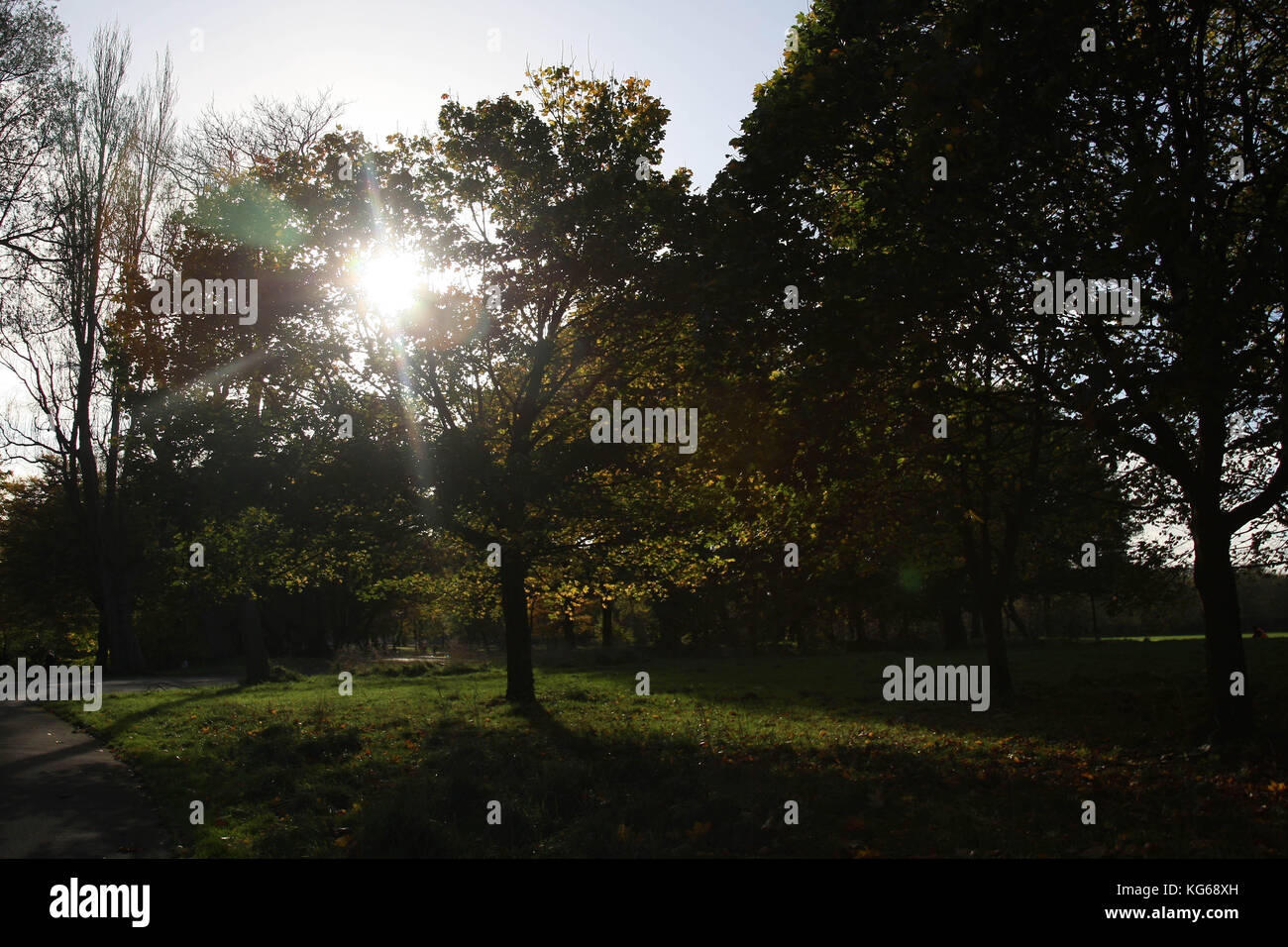 Sefton Park, Autumn time Stock Photo