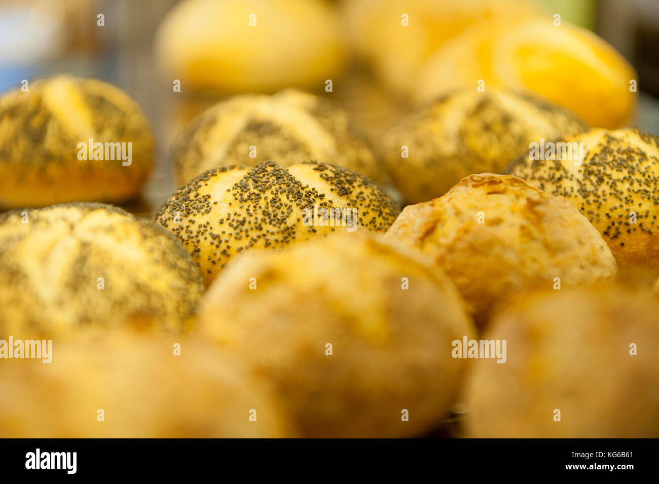 Fresh hot buns Stock Photo