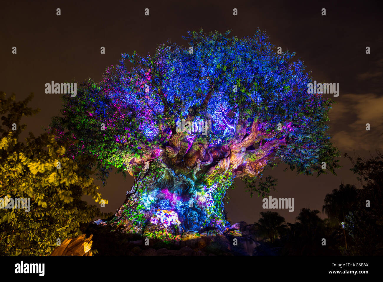 Animal Kingdom Tree of Life Stock Photo - Alamy Animal Kingdom Tree of Life Stock Photo - Alamy