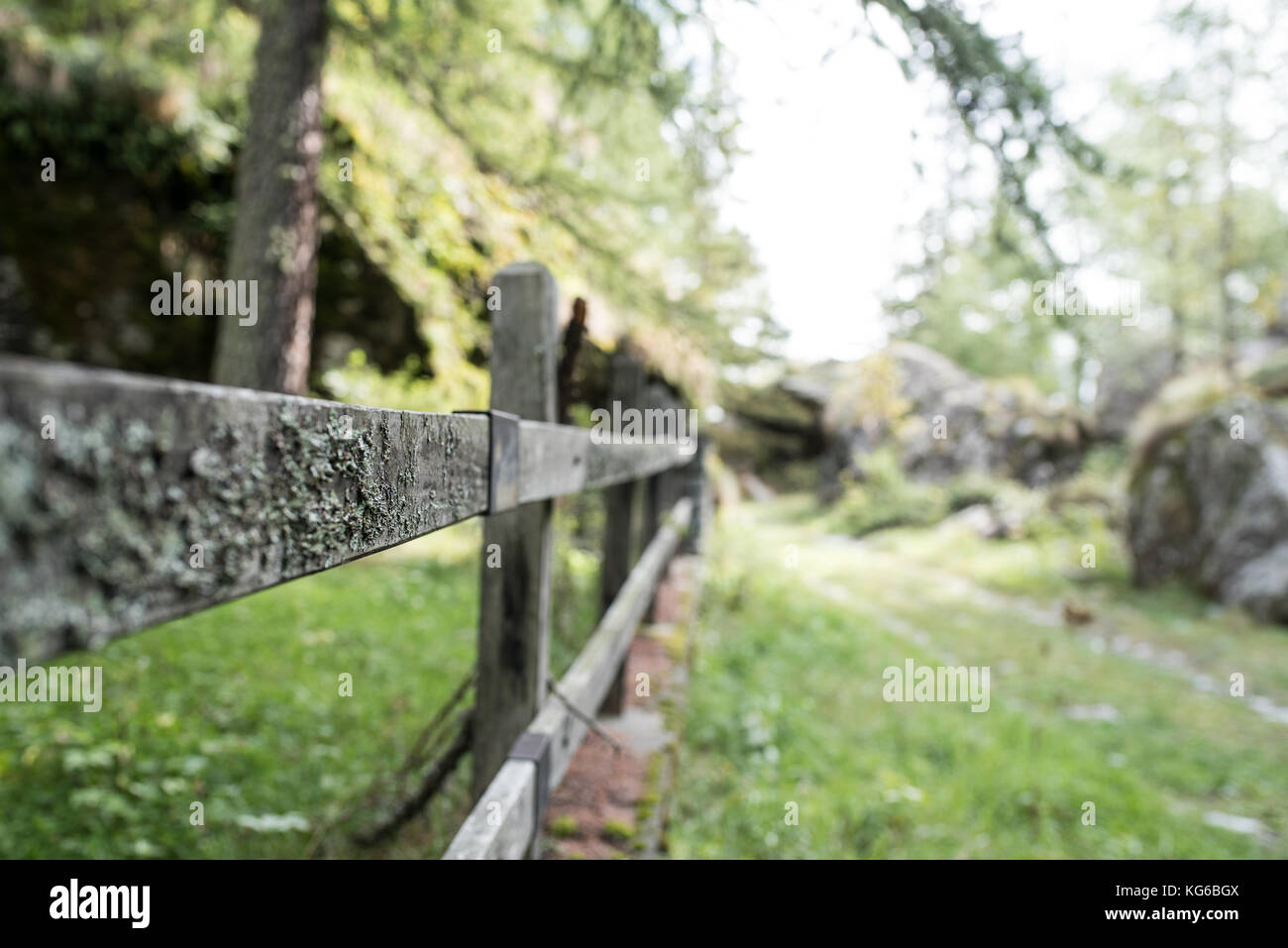 old wooden fence in a park, fence with moss Stock Photo - Alamy