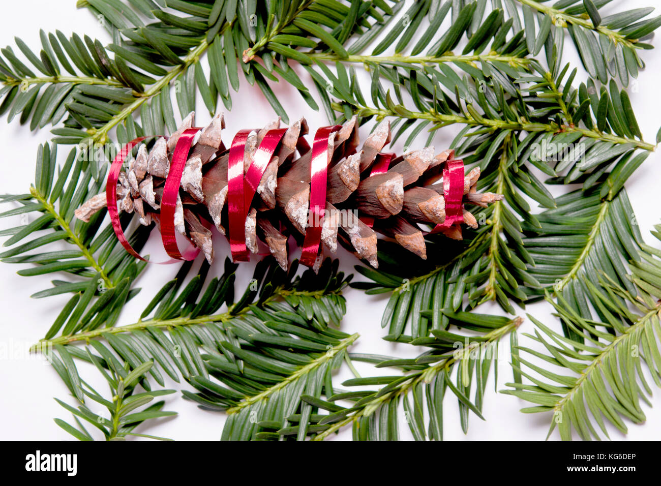 Joy of the holiday hi-res stock photography and images - Alamy