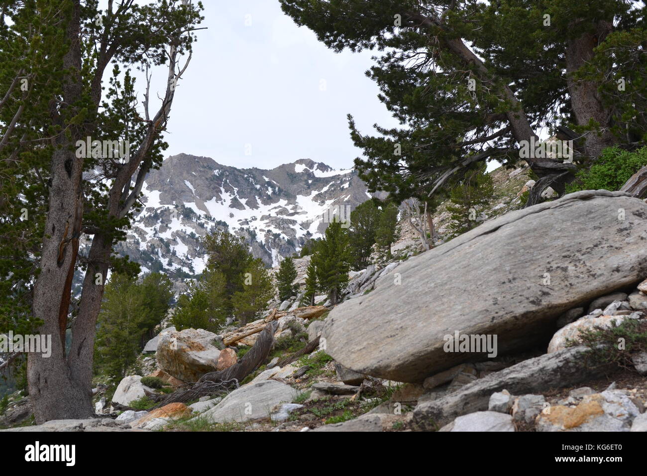 Lamoille Canyon Stock Photo