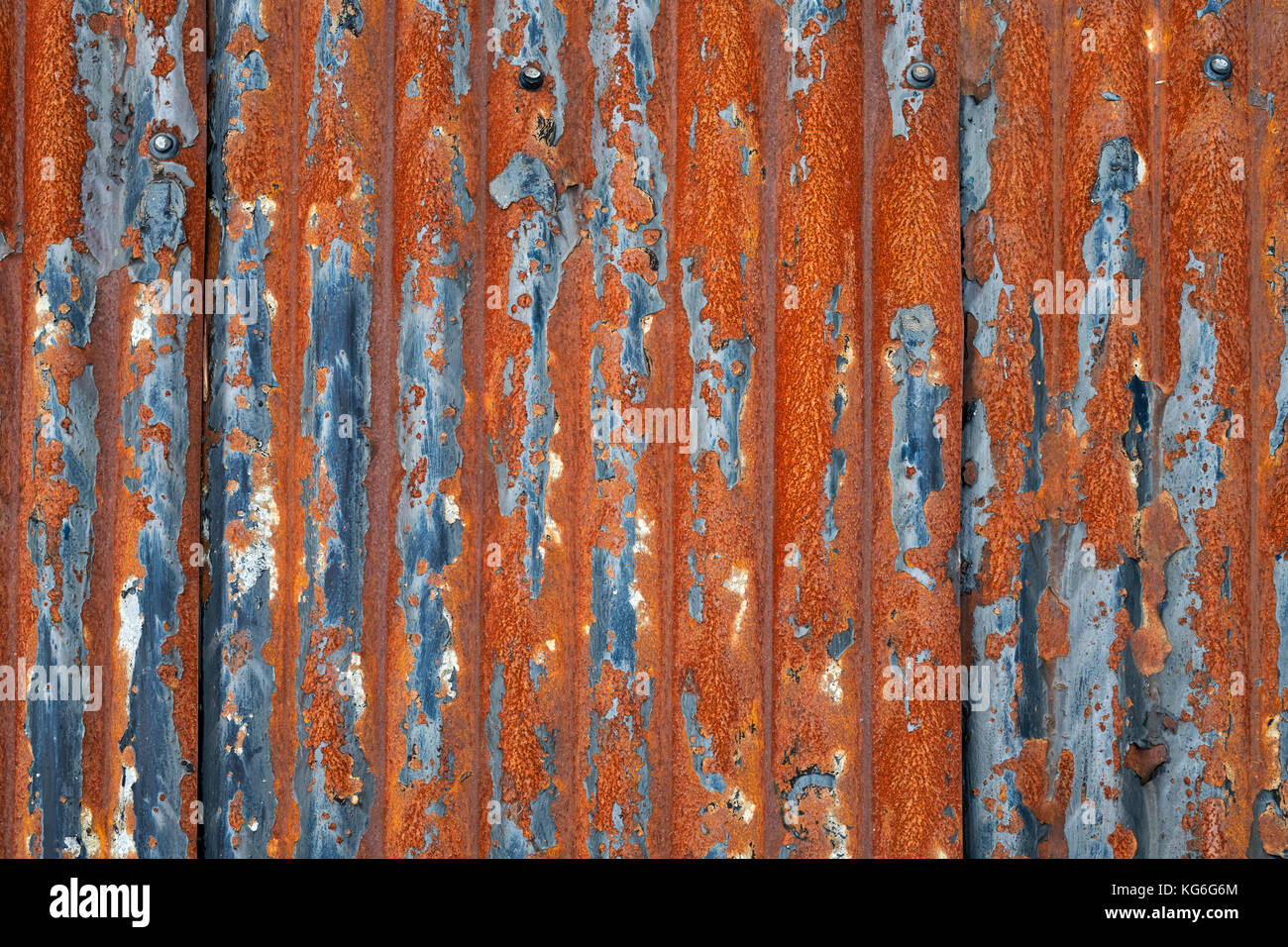 Old rusted corrugated tin roof panels on a garage roof. Dumfries and Galloway, Scottish borders, Scotland Stock Photo