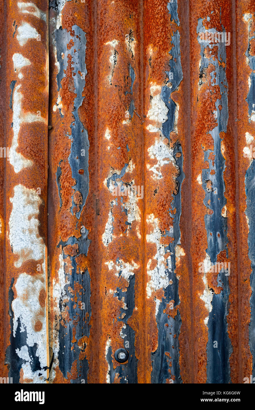 Old rusted corragated tin roof panels on a garage roof. Dumfries and Galloway, Scottish borders, Scotland Stock Photo