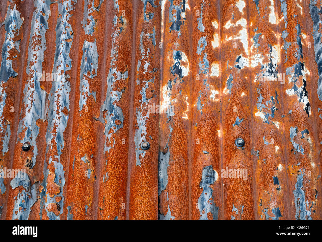 Old rusted corrugated tin roof panels on a garage roof. Dumfries and Galloway, Scottish borders, Scotland Stock Photo