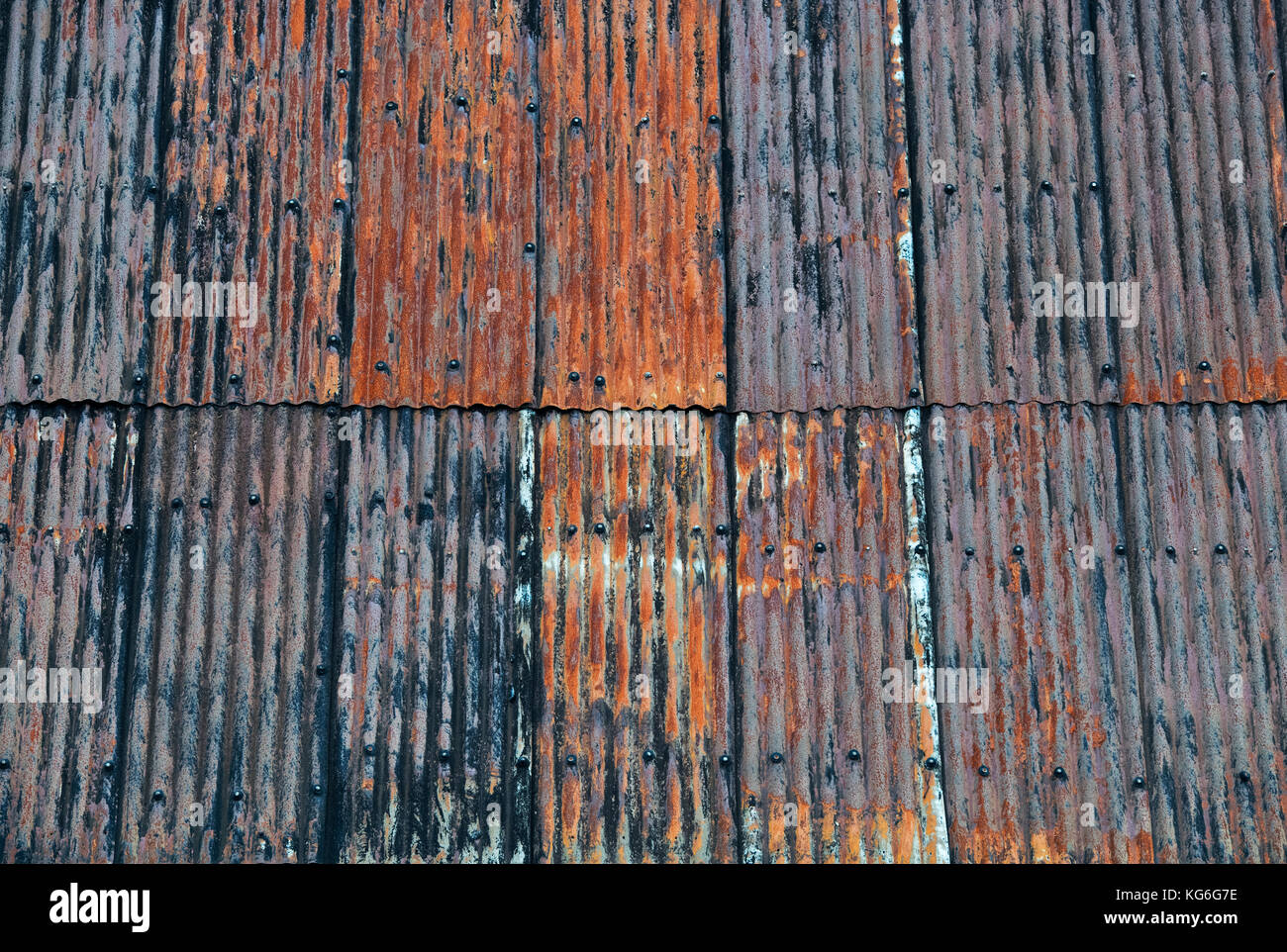 Old rusted corragated tin roof panels on a garage roof. Dumfries and Galloway, Scottish borders, Scotland Stock Photo