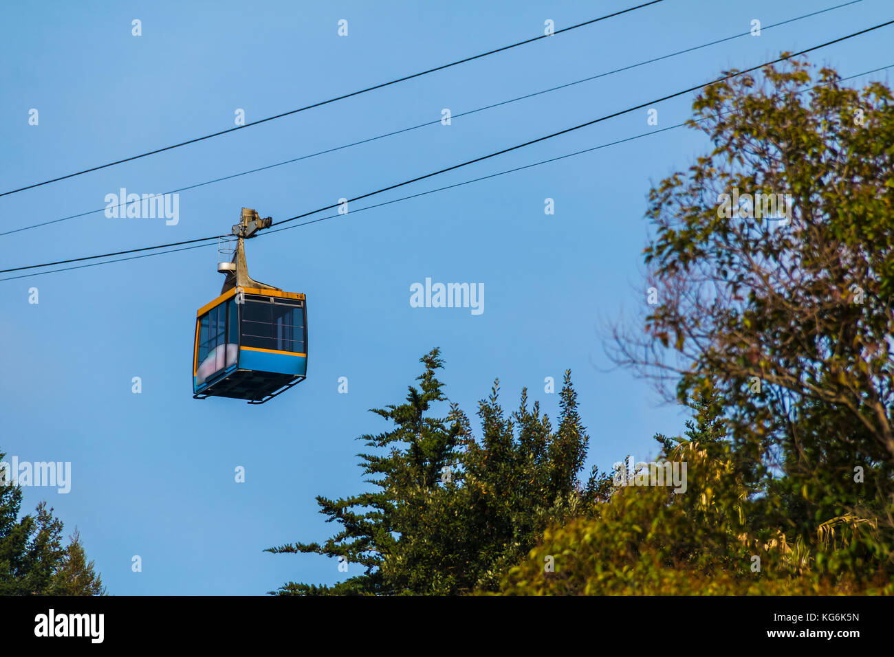 Bottom View Of The Cabin Of Cableway Over The Trees Of Arboretum