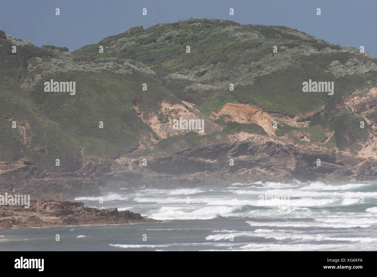 Coastal sand dunes in South African coast Stock Photo Alamy