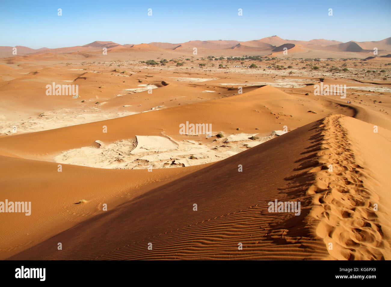 View of Sossusvlei from a dune, Namib Naukluft National Park, Namib ...
