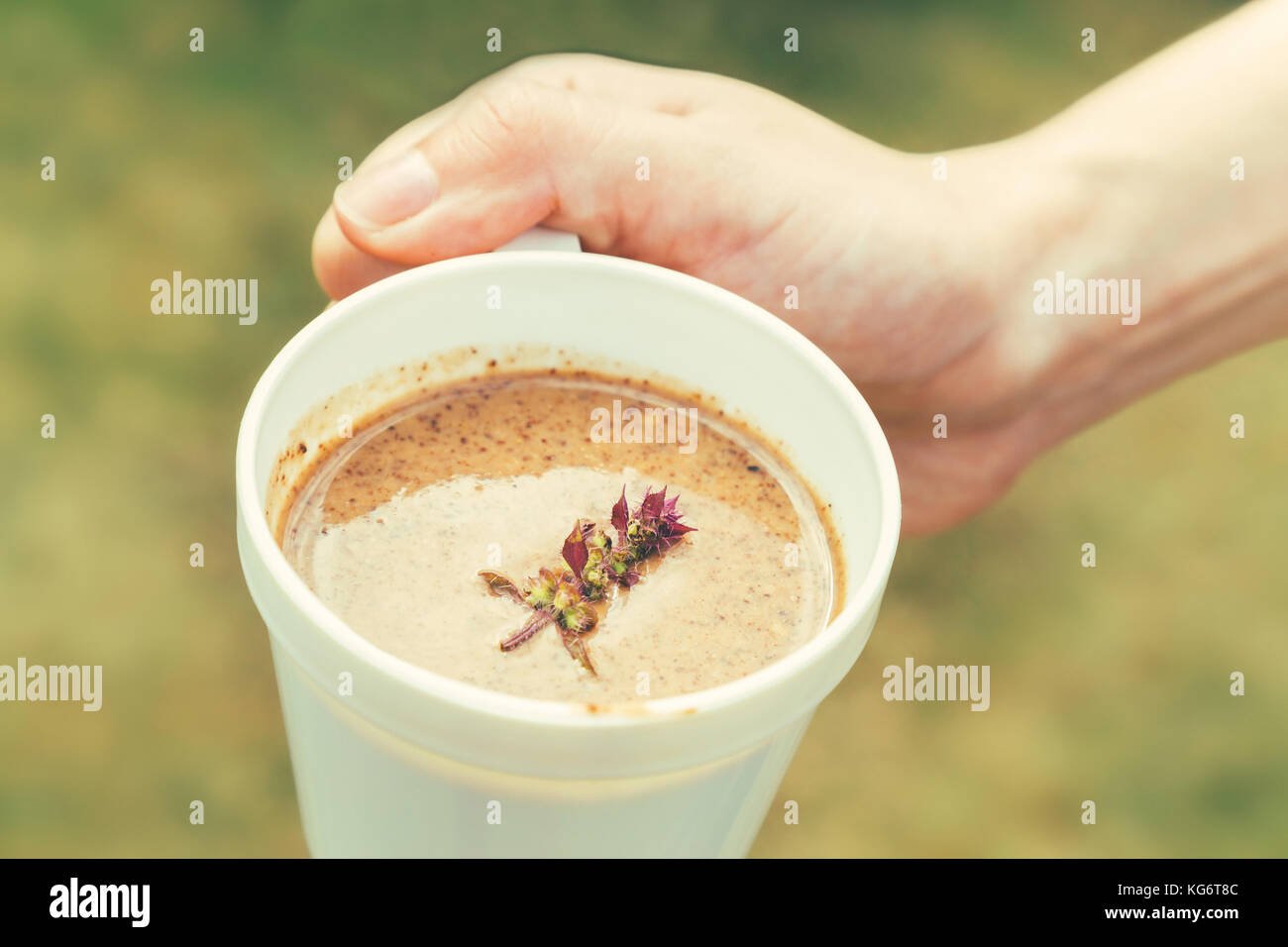 Hot drinks with a mixture of cocoa, chocolate, malt, and fresh basil on top of cup in woman hand ready to drink in the morning time. selective focus a Stock Photo