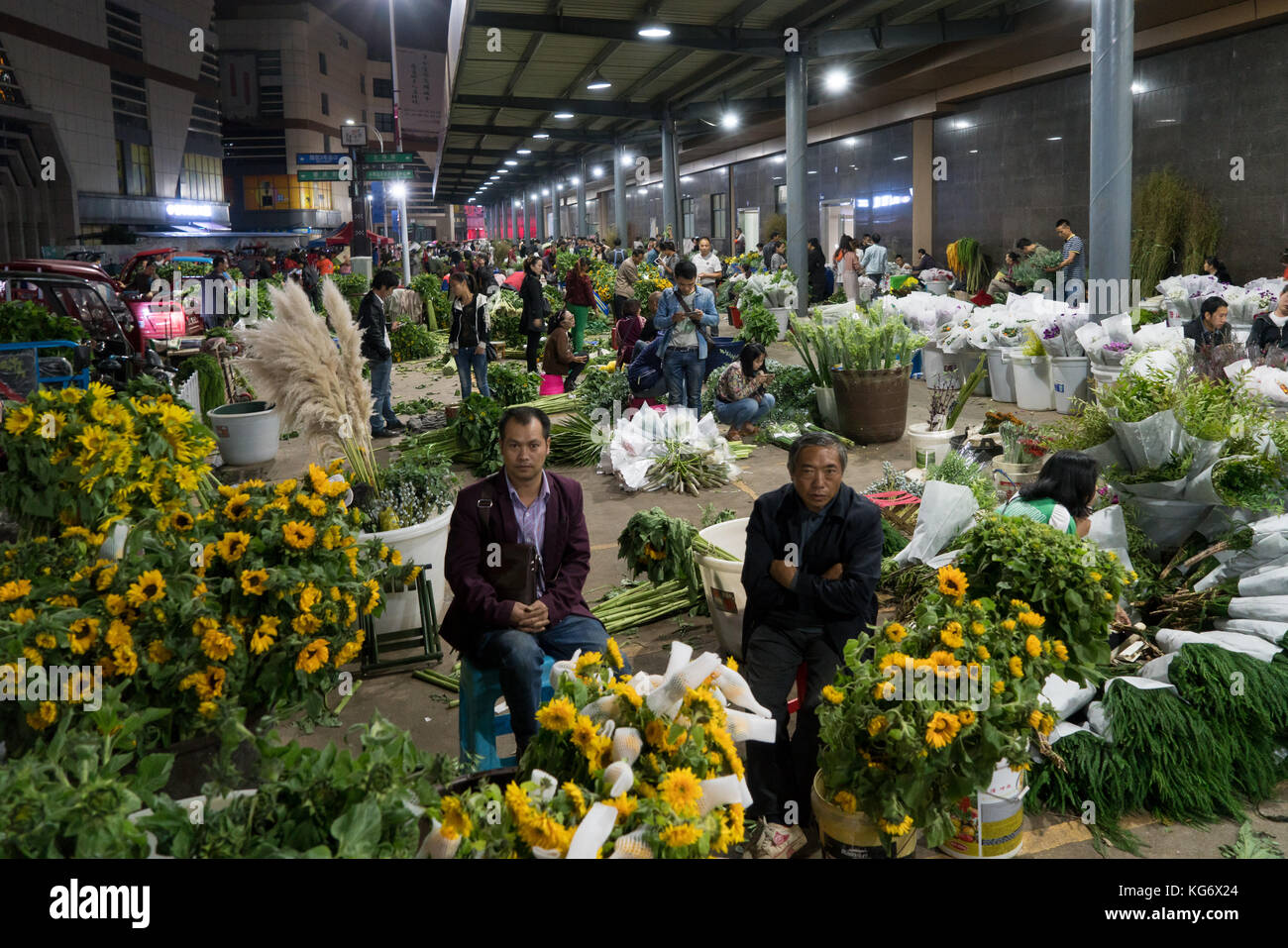 Bird market kunming hi-res stock photography and images - Alamy