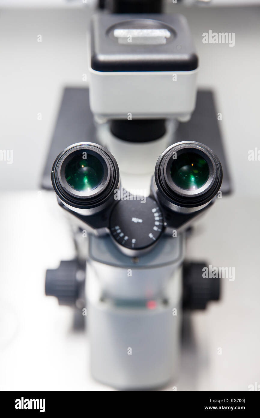 Close up of stereo microscope eyepieces in the laboratory Stock Photo