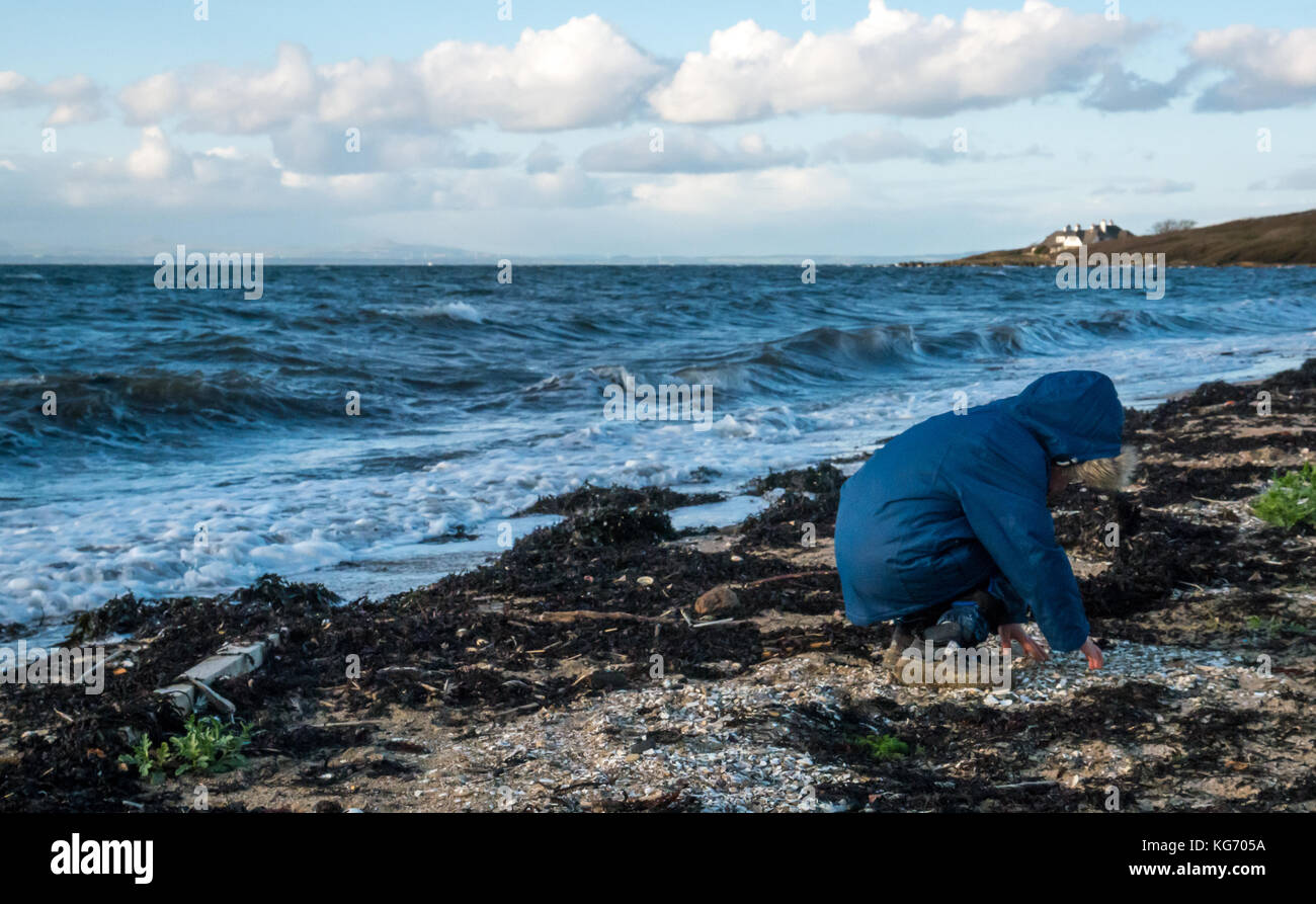 Young boy in Winter jacket bending down on a beach next to waves searching for shells and sea glass on a cold windy day, East Lothian, Scotland, UK Stock Photo