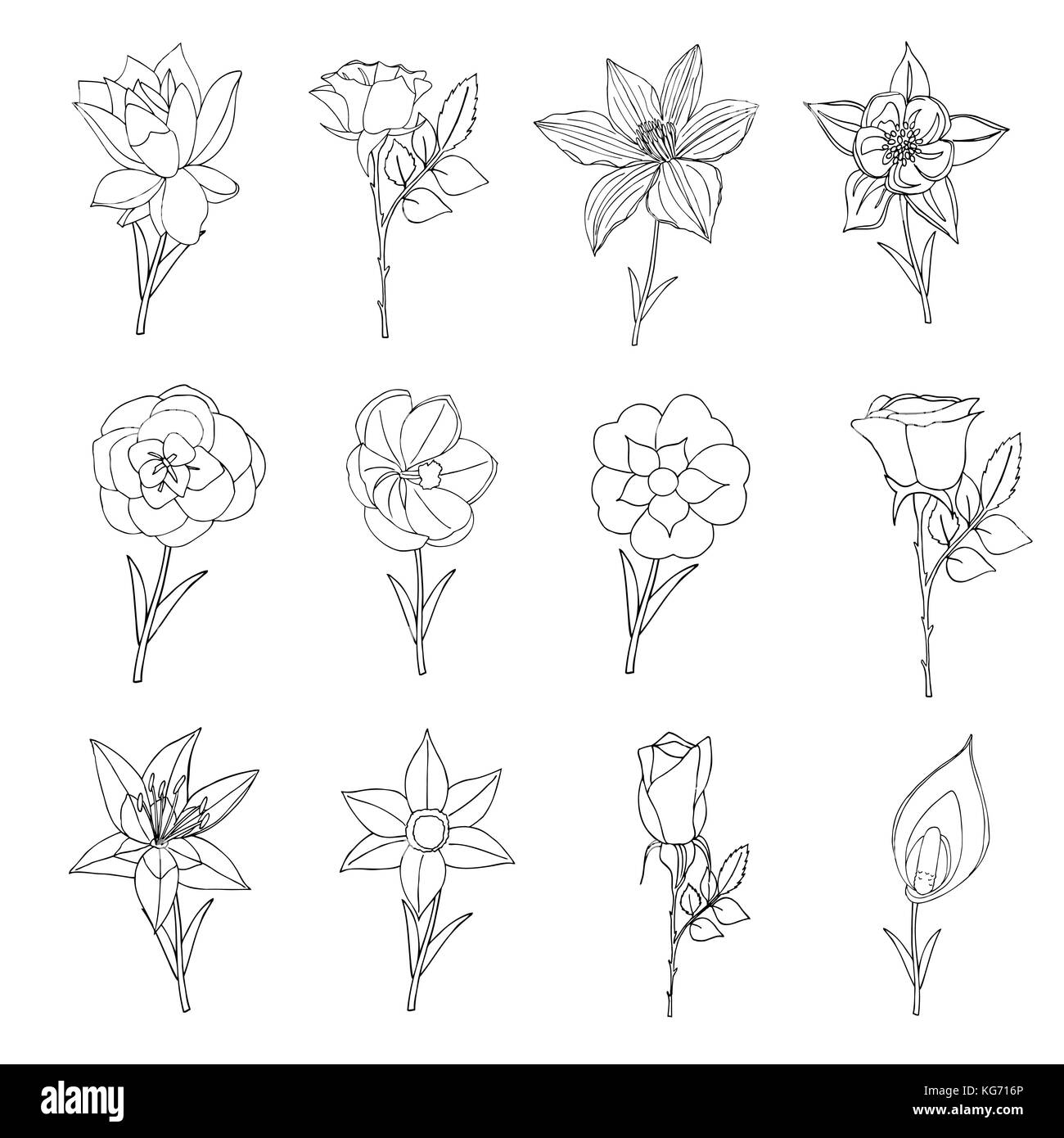 Doodles of Flowers collection. Vector illustration image Stock Vector ...