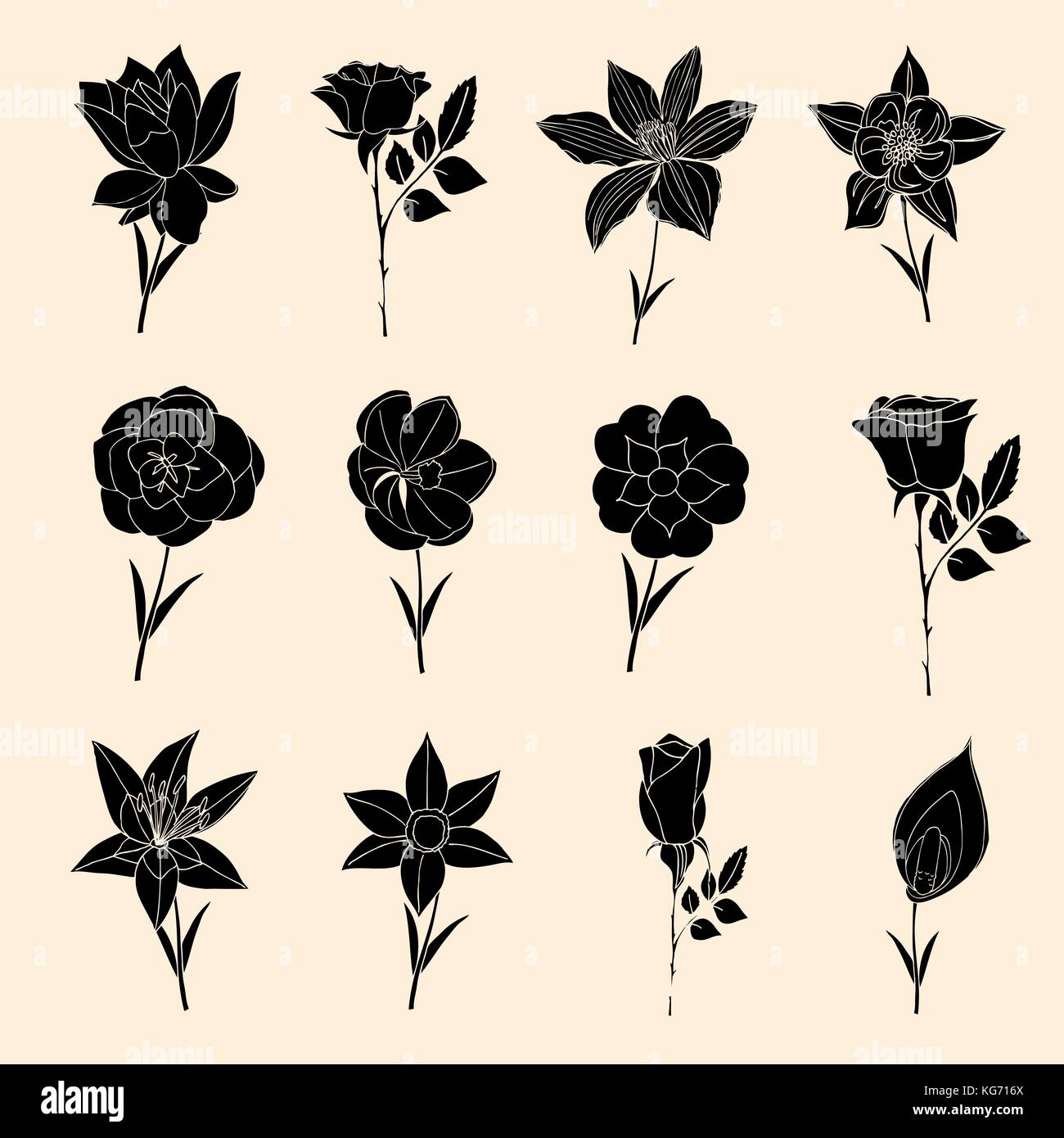 Doodles of Flowers collection. Vector illustration image Stock Vector