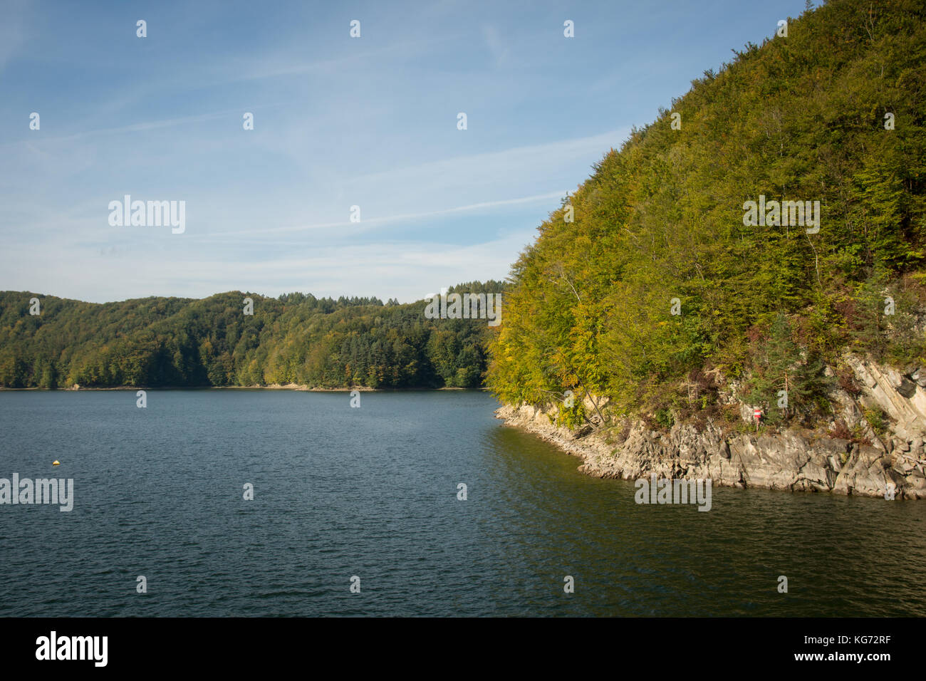 forest over lake in the mountains during early autumn Stock Photo - Alamy