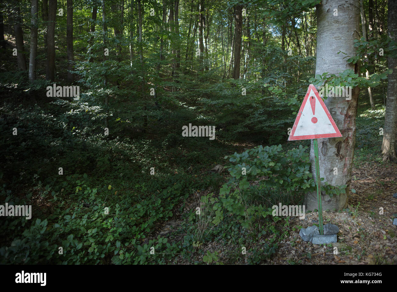 empty signboard in front of an autumn forest Stock Photo - Alamy