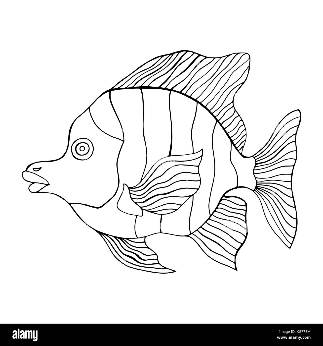 Hand Drawn Fish. vector illustration isolated on white background ...